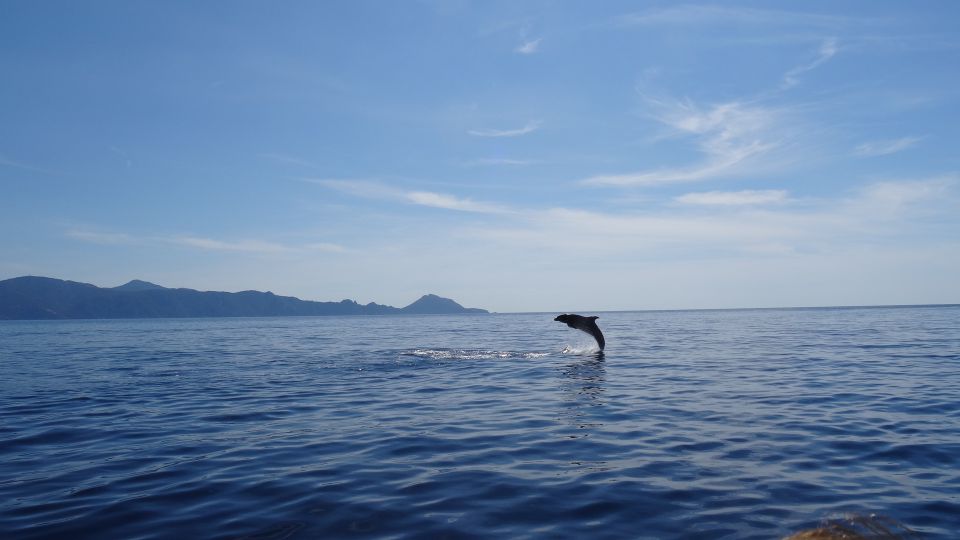 Porto: Half-Day Cruise Scandola Reserve & Calanche de Piana - Meeting at Port de Porto-Ota: What You Need to Know Before Boarding