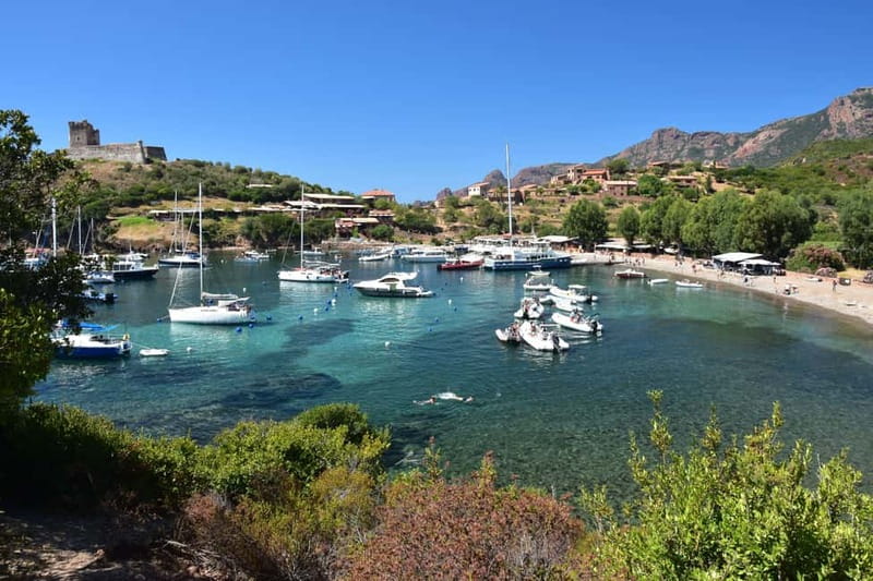 Porto: Scandola Nature Reserve and Creeks of Piana Boat Tour - Key highlights to look for