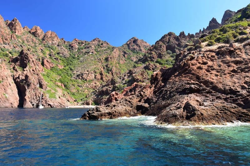 Porto: Scandola Nature Reserve and Creeks of Piana Boat Tour - Gulf of Porto caves and marine life between the red cliffs