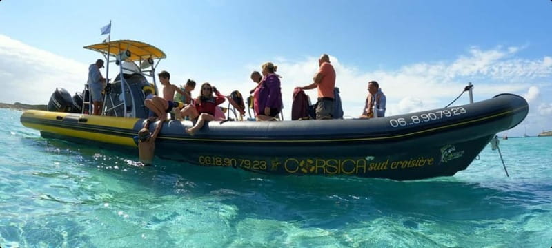 Porto-Vecchio: Lavezzi Archipelago & Cerbicales Island Tour - Isles Cerbicales: where the sea birds set the pace