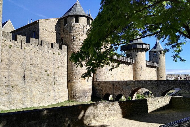 Private 2-hour Walking Tour of Carcassone with official tour guide - Chateau Comtal and the defensive walls