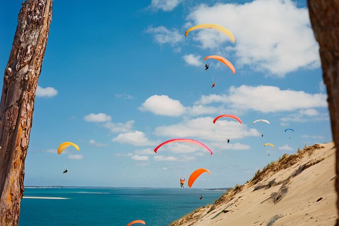 Private Arcachon Full-Day tour, from Bordeaux - What the guide adds to the day