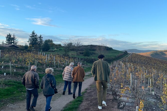 Private Beaujolais wine tour - Quick hits you’ll care about