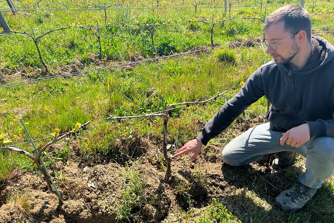 Private Beaujolais wine tour - What you’ll taste and how to pace it without ruining the fun