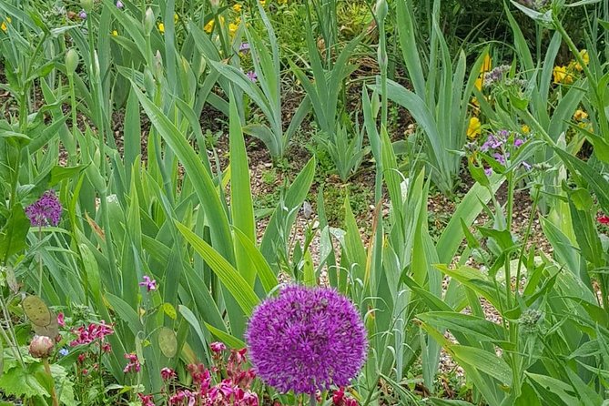 Private Car Trip to Giverny Garden from Paris - Driver commentary and the independent visit