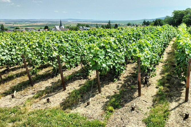 Private Champagne Tour Veuve Clicquot, Moet & Chandon from Reims - Is $727.50 per person a fair price?