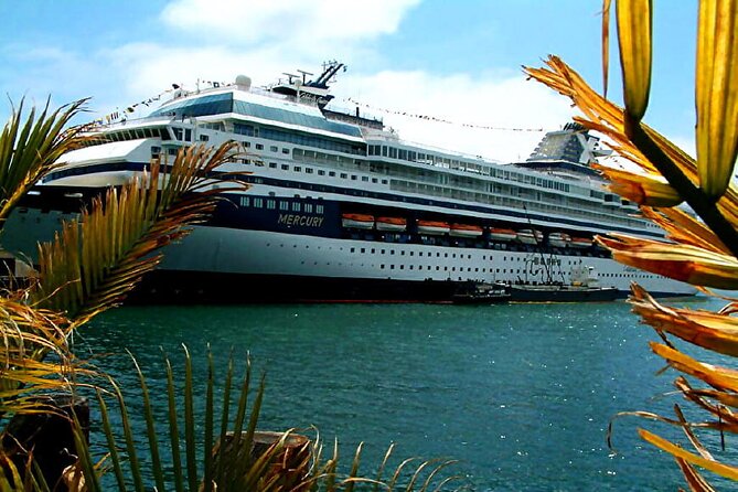 Private Customized French Riviera Tour from Port of Cannes 8H - Why This Private Cannes-to-Monaco Route Works on a Cruise Day