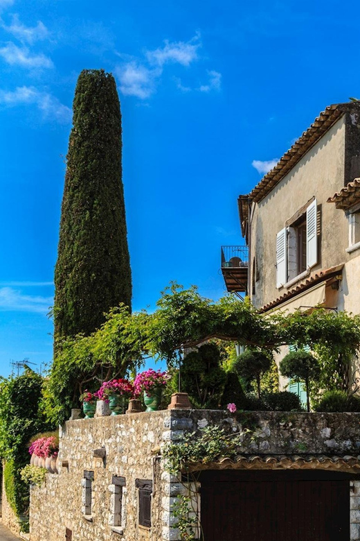 Private Customized French Riviera Tour from Port Villefranch - Monaco Cathedral and the Princely Quarter