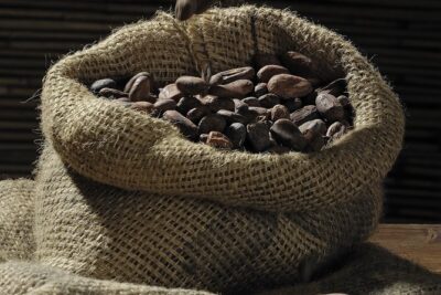 Private Dark Chocolate Tasting Tour in Paris - Learning Where Cocoa Flavor Begins