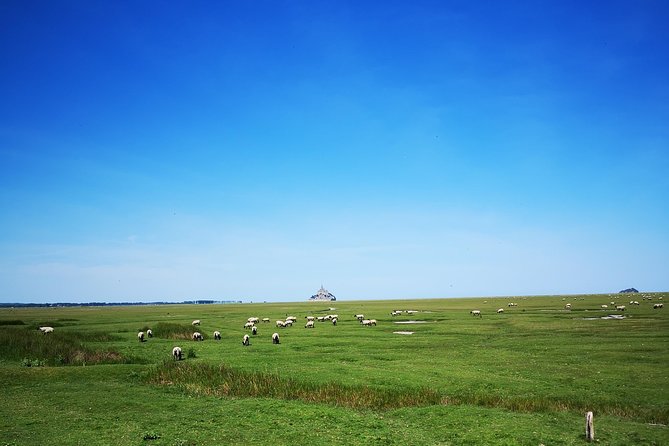 Private Day Tour of Mont Saint-Michel from Bayeux - Language, Small Details, and How It Changes the Day