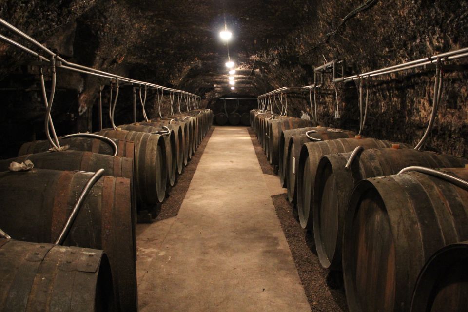 Private Day Tour to Loire Valley Castles & Wines from Paris - Following the vines through Touraine and Vouvray