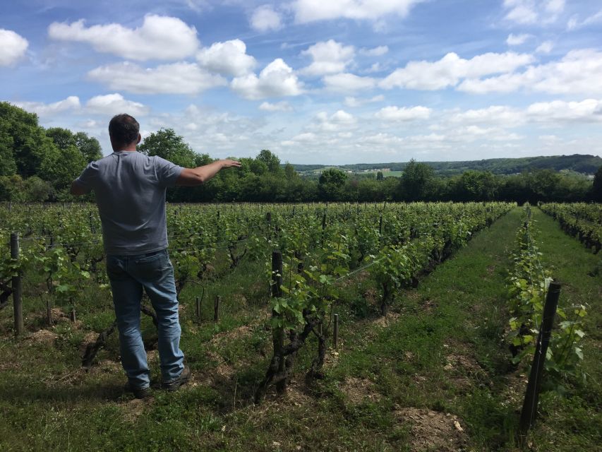 Private Day Tour to Loire Valley Castles & Wines from Paris - Tasting at the boutique Loire winery