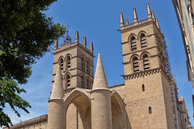 Private Discovery of Montpellier by Bike-Taxi - Carre Sainte-Anne and Place Jean Jaurès: the everyday Montpellier view