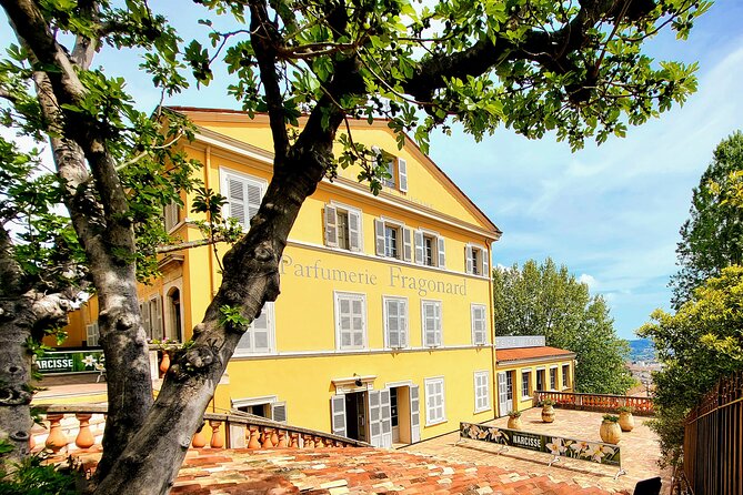 Private discovery of the hinterland of the Côte d'Azur - Price, comfort, and what the day really costs