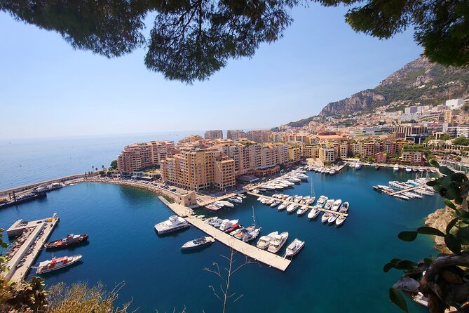 Private excursion Cruise stopover on the French Riviera - Two hours on Monaco’s Rock