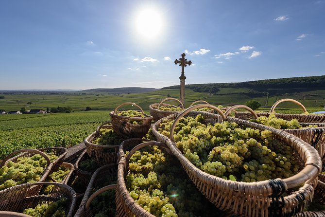 Private excursion to Côte de Beaune and Côte de Nuits (full day) - Two Countryside Tastings That Make Burgundy Click