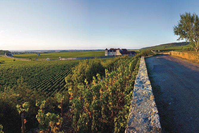 Private excursion to Côte de Beaune and Côte de Nuits (full day) - The 9:30 a.m. Start: Pickup That Keeps You From Losing Time