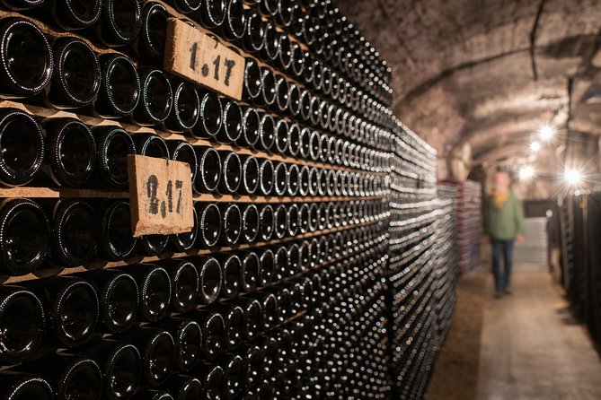 Private excursion to Côte de Beaune and Côte de Nuits (full day) - Afternoon: Vine Cycles, Cellar Technique, and Another 6-Wine Tasting