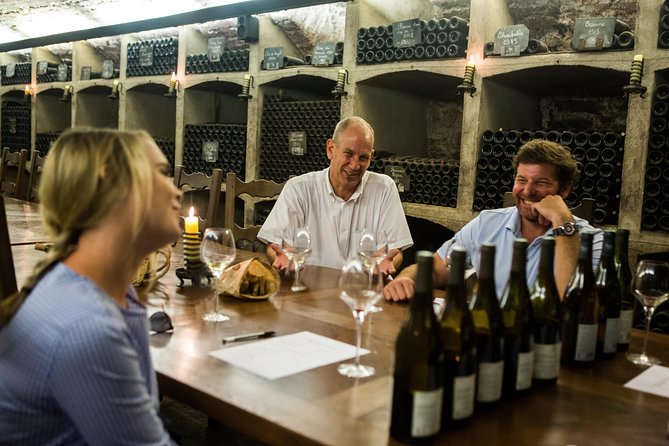 Private excursion to Côte de Beaune and Côte de Nuits (full day) - Who This Tour Suits Best (and Who Might Prefer Something Else)