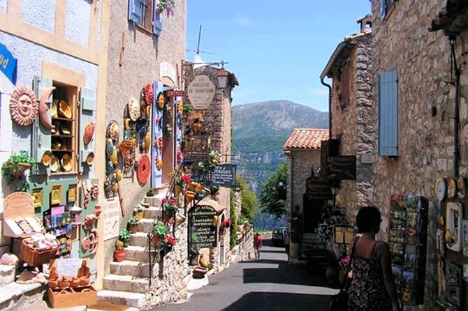 Private Full-day French Riviera and Hilltop Villages Tour - What the private format is worth