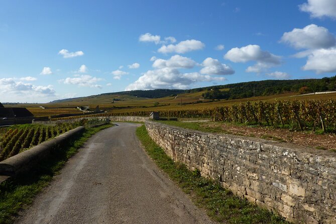 Private Full Day Tour Burgundy Gourmet - Key points at a glance