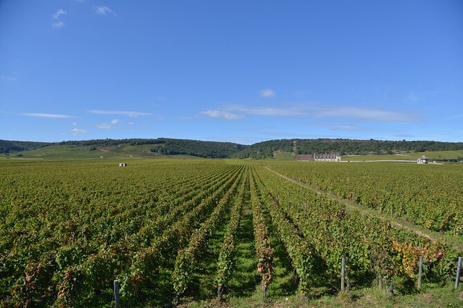 Private Full Day Tour Burgundy Gourmet - What you actually taste