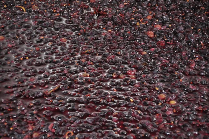 Private Full Day Tour Burgundy Gourmet - Who will get the most from this tour?