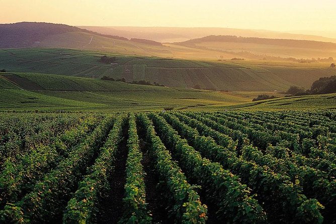 Private Full-Day Tour of Champagne Region - Key points to know before booking