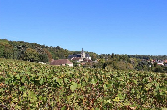 Private Full-Day Tour of Champagne Region - Hautvillers and the story of Dom Pérignon