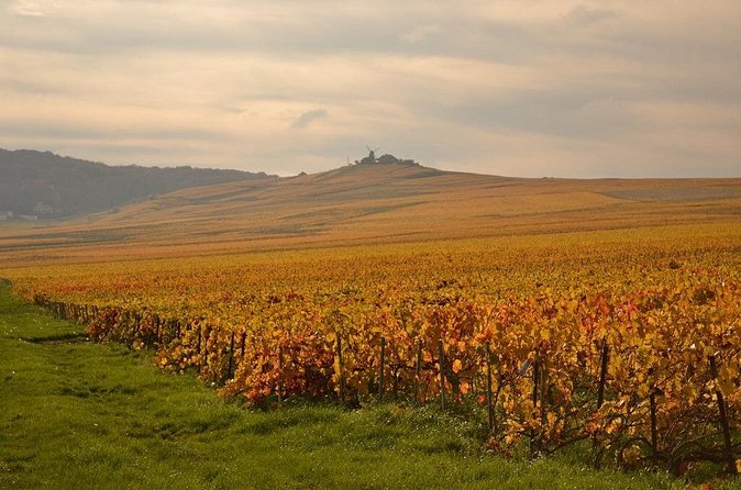 Private Full-Day Tour of Champagne Region - The small-producer tasting