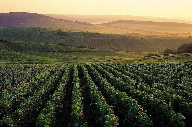 Private Full-Day Tour of Champagne Region - Timing, comfort, and practical limits