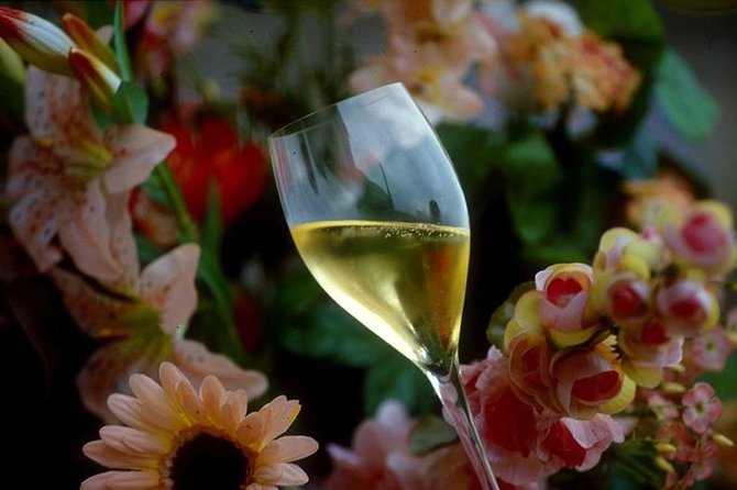 Private Full-Day Tour of Champagne Region - The first pour at a major Champagne house
