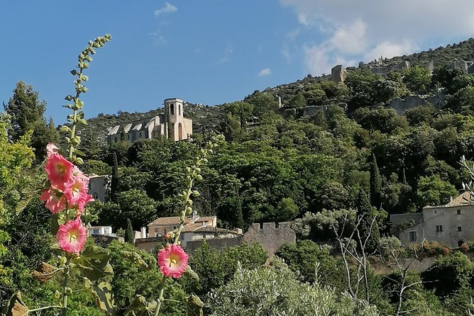 Private Full Day Tour Villages of the Luberon from Avignon - Sénanque Abbey: A Real Provence Icon, Either Quick Photos or More Time