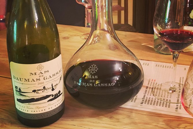 Private full day wine tour and Medieval Village from Montpellier - Mas de Daumas Gassac sets the tone