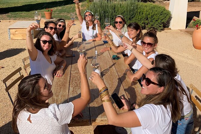Private Full Day Wine Tour in Provence From Marseille cruise port - Why this Provence wine day makes sense from Marseille