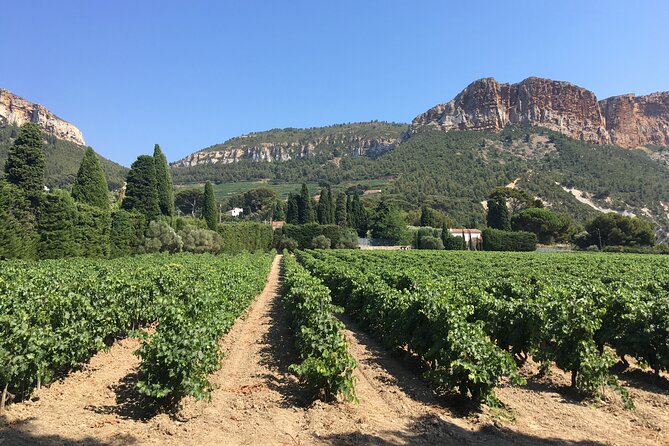 Private Full Day Wine Tour in Provence From Marseille cruise port - Timing for the return to the ship: what the 4pm arrival really buys you