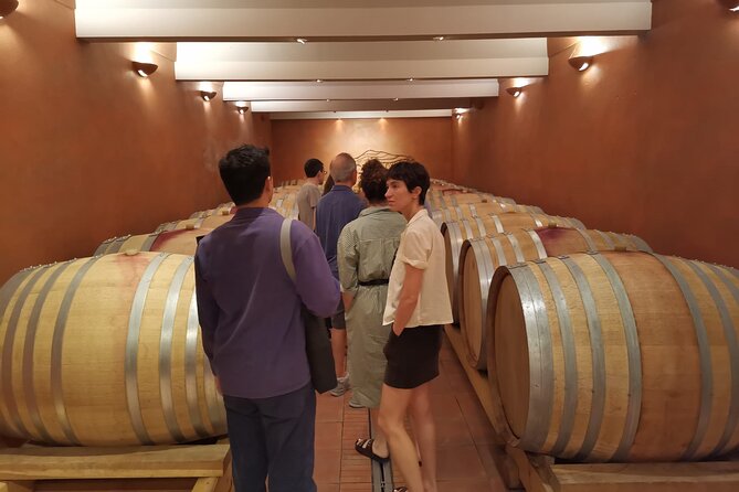Private Full Day Wine Tour in Provence From Marseille cruise port - Comfort, what is included, and what you should bring