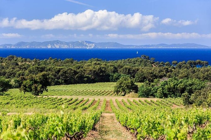 Private Full Day Wine Tour in Provence from Toulon Cruise Port - A private start at the Toulon cruise port