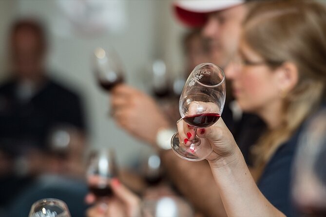 Private Full Day Wine Tour in Provence from Toulon Cruise Port - Choosing Cassis, Hyères, or another Provençal town