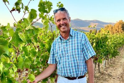Private Full Day Wine Tour in Provence from Toulon Cruise Port - Tasting Provence rosé, red, and white wines
