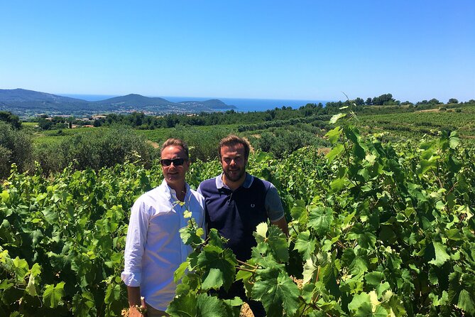 Private Full Day Wine Tour in Provence from Toulon Cruise Port - What the private format adds to the day