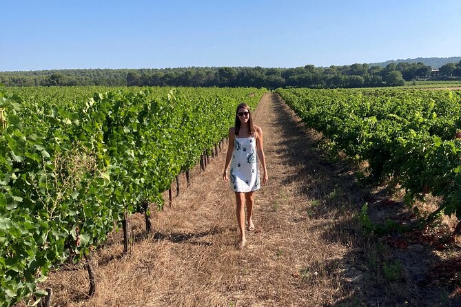 Private Full Day Wine Tour in Provence from Toulon Cruise Port - Is $476.57 per person good value?