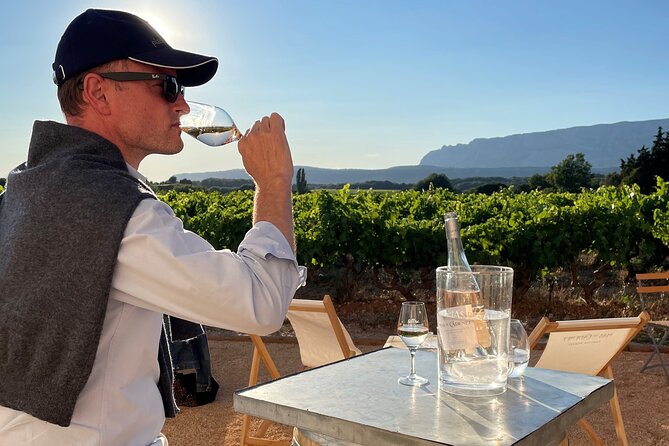 Private Full Day Wine Tour in Provence from Toulon Cruise Port - Who will enjoy this Provence wine day most?