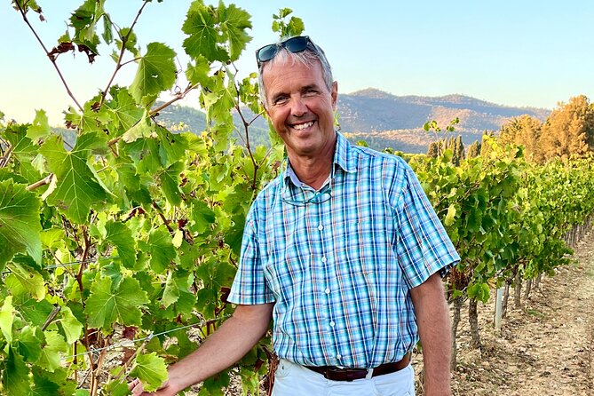 Private Full Day Wine Tour in Provence from Toulon Cruise Port - Tasting Provence rosé, red, and white wines