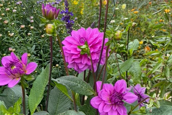 Private Giverny Roundtrip and Entrance Ticket from Paris - What the Private Format Really Buys You
