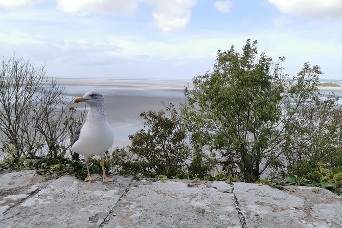 Private Guided Day Tour of Mont St-Michel from Paris - Who will enjoy this day most