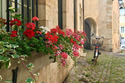 Private guided tour - Beaune 2h - Notre-Dame and Beaune’s religious story