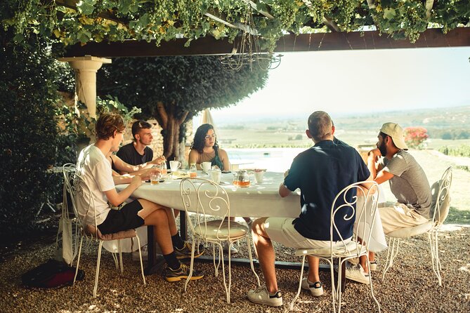 Private half day Burgundy Wine and Food Tour by vintage Defender - Leynes: young winemakers and changing ideas