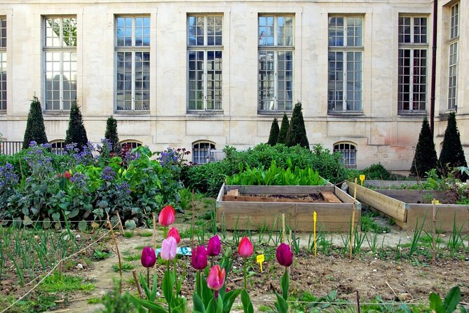 Private Half Day Historic Tour - Hôtel de Ville and the Seine Crossings: Renaissance Paris in Motion