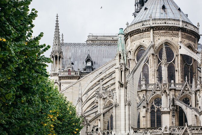 Private Historical Tour of Notre Dame - The guide factor: what the best moments tend to sound like